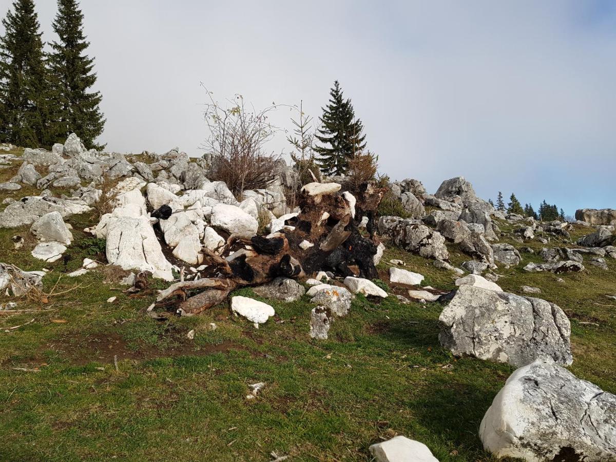 Pensiunea Casa Zarnesteana Zărneşti 외부 사진