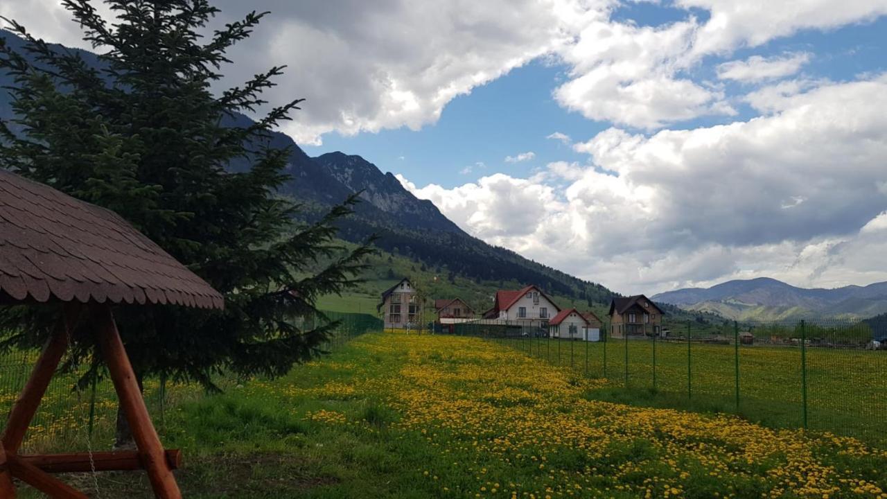 Pensiunea Casa Zarnesteana Zărneşti 외부 사진