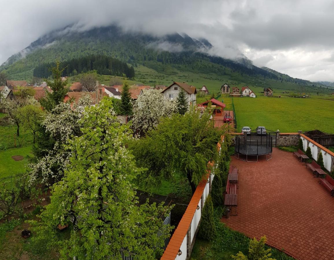 Pensiunea Casa Zarnesteana Zărneşti 외부 사진